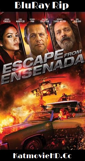 Escape from Ensenada (2017) BluRay 720p Hindi – English Dual Audio x264 ESUB