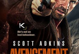 Avengement (2019) Dual Audio [Hindi DD 5.1 + English] BluRay 1080p 720p 480p [HD] x264 | HEVC