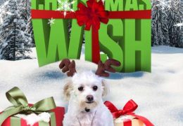 Charlie’s Christmas Wish (2020) Full Movie [In English] With Hindi Subtitles | Web-DL 720p [1XBET]